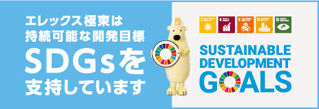 エレックス極東は持続可能な開発目標 SDGsを支持しています